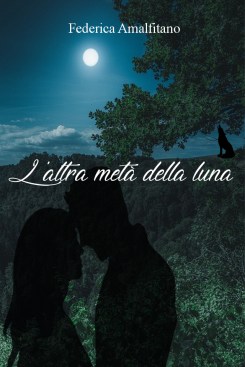 Cover L'altra metà della luna di Federica Amalfitano